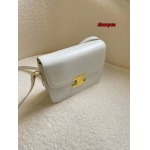 2023年4月21日人気新作入荷CELINEバッグ8006 zhuoyue工場22x16.5x7cm