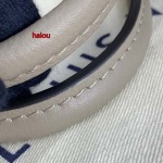 2023年5月30日原版復刻新作入荷 ルイヴィトン  M45779バッグ haiou工場size:25*19*11.5cm