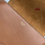 2023年早秋新作入荷高品質 CELINE  バッグ LOW1工場 SIZE:18.5×8×15