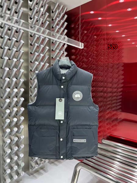 2025年秋冬最新の高品質カナダグ ースダウンジャケットベス...