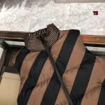 2023年8月29日秋冬高品質新作入荷フェンディ両面ダウンジャケットベストTS工場