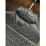 2023年9月4日秋冬新品入荷人高品質ディオール ダウンジャケットベストaibin工場