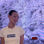 2023年10月20日秋冬人気新品入荷SUPREME 半袖 Tシャツ YIN工場