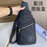 2023年11月16日秋新品入荷 バーバリー  wp工場 20x29x5cm