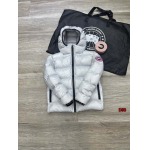 2025秋冬人気新作入荷 カ ナ ダ グ ー ス ダウンジャケット008工場