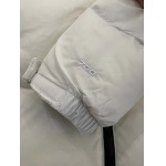 2023年11月21日秋冬新品入荷The North Face ダウンジャケットQIU工場