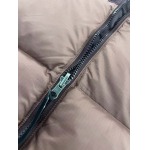 2023年11月21日秋冬新品入荷The North Face ダウンジャケットQIU工場