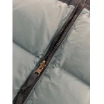 2023年11月21日秋冬新品入荷The North Face ダウンジャケットQIU工場