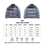 2023年11月21日秋冬新品入荷The North Face ダウンジャケットfangao工場