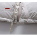 2023年11月21日秋冬新品入荷The North Face ダウンジャケットfangao工場