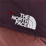 2023年11月21日秋冬新品入荷The North Face ダウンジャケットfangao工場