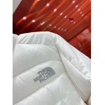 2023年12月8日高品質秋冬新品入荷The North Face女性  ダウンジャケット520工場