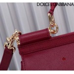 2024年原版復刻新作 Dolce&Gabbana バッグ du工場 size:25*12*20cm