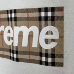 2024年4月15日夏季高品質新作入荷 SUPREME バーバリー半袖 Tシャツ 61工場