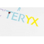 2024年6月20日夏季新作入荷ARCTERYX 半袖 TシャツFF工場