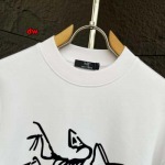 2024年8月16日秋冬新作入荷人気販売中 ARCTERYX スウェット DW工場