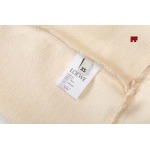 2024年9月20日早秋新品入荷 LOEWE  スウェットFF工場