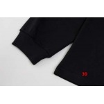 2024年9月23日早秋新品入荷 ARCTERYX 長袖 Tシャツ 30工場