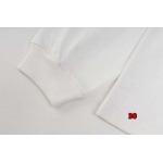 2024年9月23日早秋新品入荷 ARCTERYX 長袖 Tシャツ 30工場