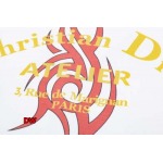 2024年9月25日早秋新品入荷ディオール半袖 Tシャツ DW工場