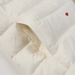 2024年10月23日秋冬高品質新品入荷モンクレール ダウンジャケット Q工場