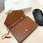 2024年11月1日秋冬新品入荷CELINE バッグ zhy工場19.3×13.5×3.5