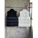 2025年11月4日秋冬高品質新品入荷 C a n a d a G o o s e ダウンジャケット BF工場