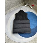 2025年11月4日秋冬高品質新品入荷 C a n a d a G o o s e ダウンジャケット BF工場