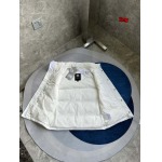 2025年11月4日秋冬高品質新品入荷 C a n a d a G o o s e ダウンジャケット BF工場