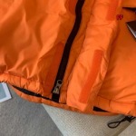 2024年11月15日秋冬新品入荷The North Face ルダウンジャケット FF工場