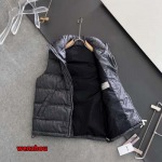 2024年11月19日秋冬高品質新品入荷ディオール ダウンジャケットwenzh工場 S-XL