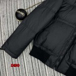 2024年11月29日秋冬高品質新品入荷CELINE  ダウンジャケットdib工場