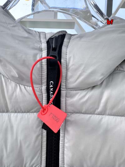 2024年12月4日秋冬高品質新品入荷 Can ada Goose ダウンジャケット BF工場