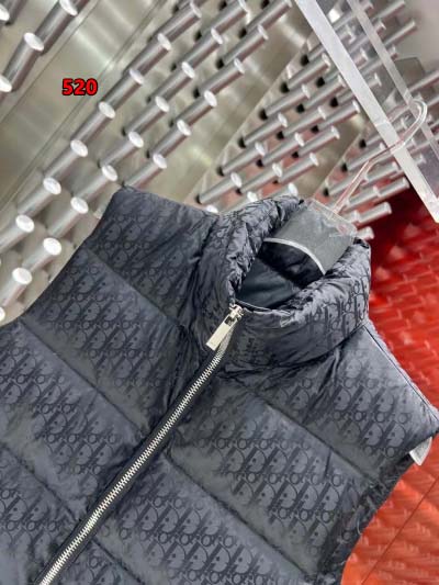 2024年12月9日秋冬高級N品新品 ディオールダウンジャケットベスト  520工場