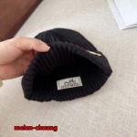 2024年12月3日新品入荷エルメス ニット帽 暖かい防寒秋冬 chuang工場