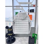 2024年12月4日秋冬高品質新品入荷 Can ada Goose ダウンジャケット BF工場