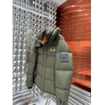 2024年12月9日秋冬高品質新品入荷FENDI  ダウンジャケット 520工場