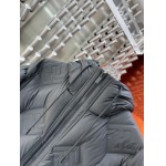 2024年12月9日秋冬高品質新品入荷FENDI ダウンジャケット 520工場