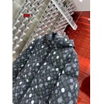 2024年12月9日秋冬高級N品新品 ルイヴィトンダウンジャケット 520工場