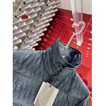 2024年12月9日秋冬高級N品新品 ディオール ダウンジャケット 520工場