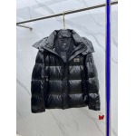 2024年12月11日秋冬高品質FENDI  ダウンジャケットアウター bf工場