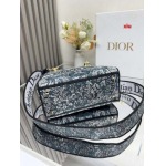 2025年早春高品質新品入荷 ディオール バッグ xiu工場