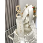 2025年早春高品質新品入荷 ディオール バッグ xiu工場