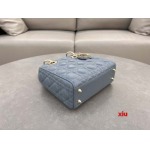 2025年早春高品質新品入荷 ディオール バッグ xiu工場