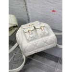 2025年早春高品質新品入荷 ディオール バッグ xiu工場