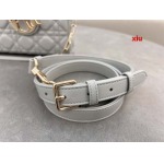 2025年早春高品質新品入荷 ディオール バッグ xiu工場