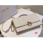 2025年早春高品質新品入荷 ディオール バッグ xiu工場