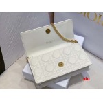 2025年早春高品質新品入荷 ディオール バッグ xiu工場