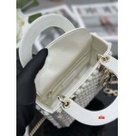 2025年早春高品質新品入荷 ディオール バッグ xiu工場