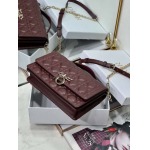 2025年早春高品質新品入荷 ディオール バッグ xiu工場